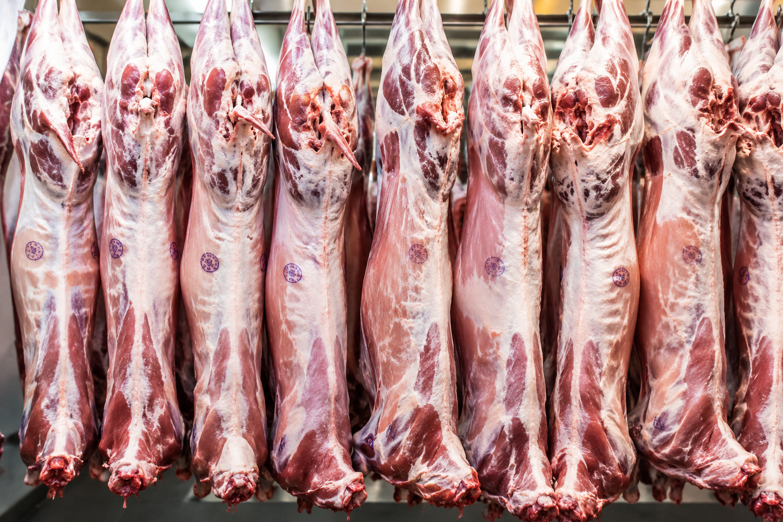 Beef Bone-In Cuts